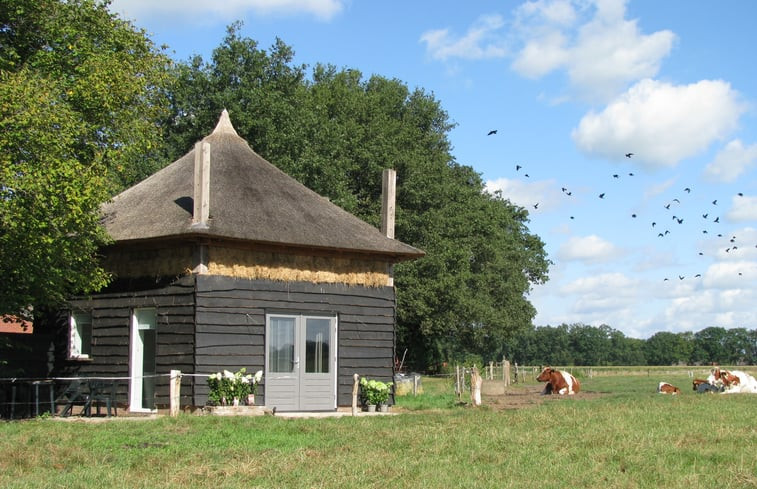 Natuurhuisje in Geesteren Gld