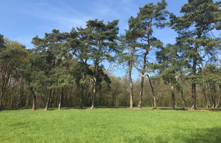 Natuurhuisje in Tessenderlo