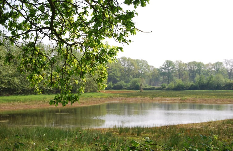 Natuurhuisje in Borculo