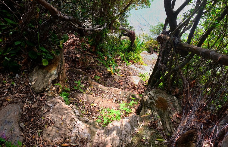 Natuurhuisje in Pelion