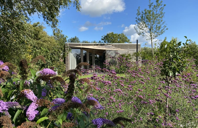 Natuurhuisje in Sint-Oedenrode