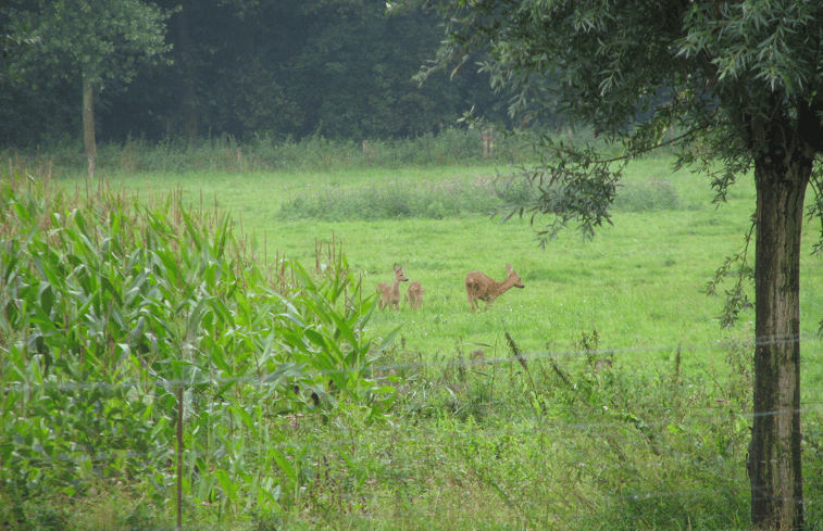 Natuurhuisje in Broekhuizenvorst