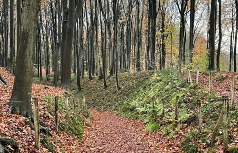 Natuurhuisje in Ellezelles