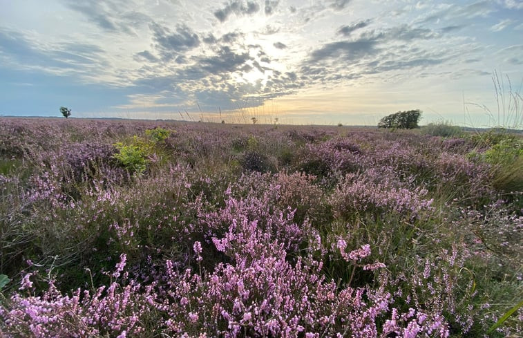 Natuurhuisje in Dwingeloo