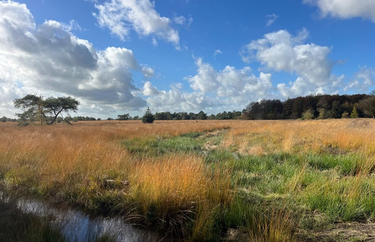 Natuurhuisje in Veenhuizen