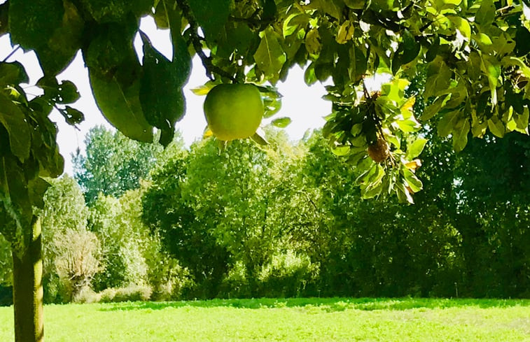 Natuurhuisje in La Chapelle-Saint-Etienne