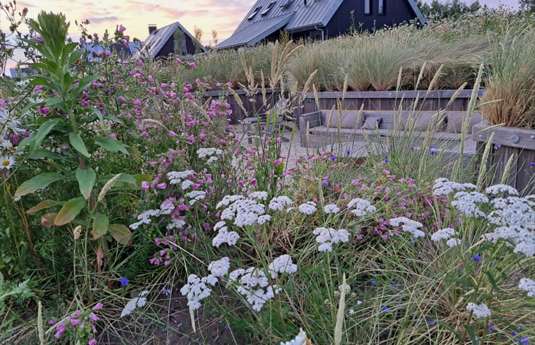 Natuurhuisje in Sint Nicolaasga