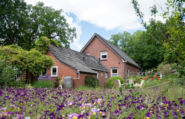 Natuurhuisje in Odoorn