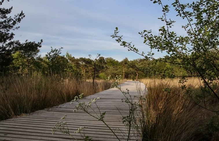 Natuurhuisje in Ambt Delden