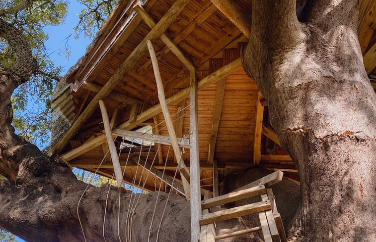 Natuurhuisje in São Luis