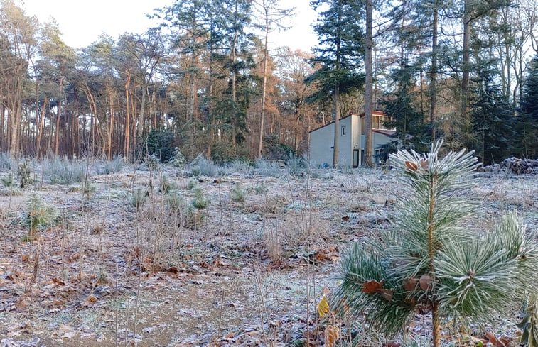 Natuurhuisje in Halle