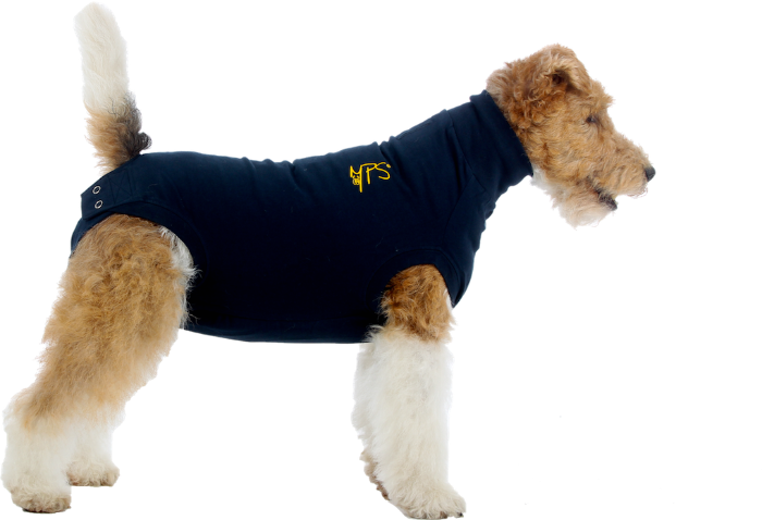 Medical Pet Shirt Hond Blauw XXS