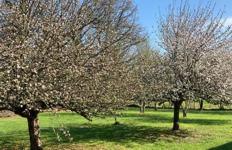 Natuurhuisje in Moutier d&apos;Ahun