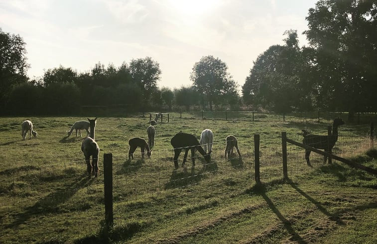 Natuurhuisje in Driewegen