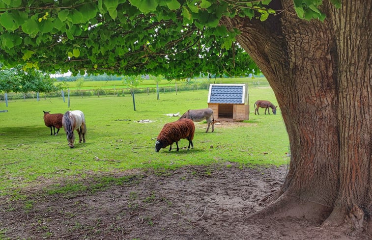 Natuurhuisje in Zutphen