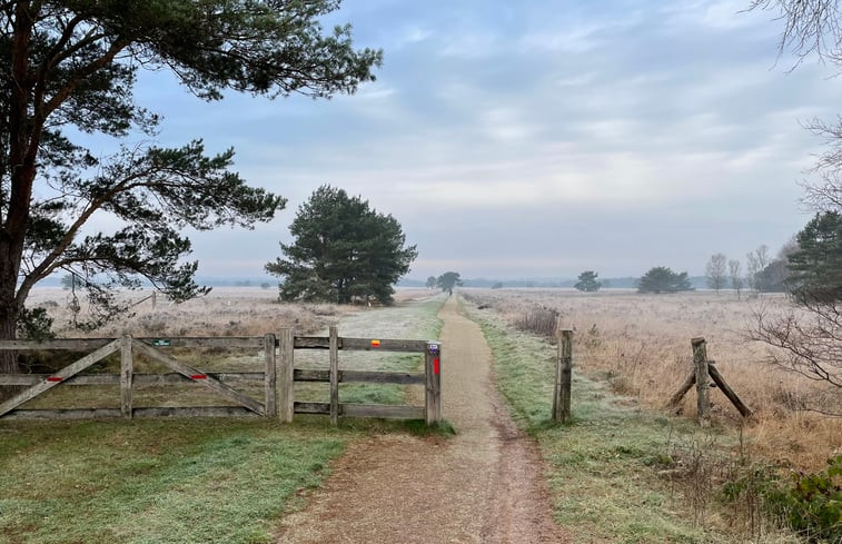 Natuurhuisje in Ermelo