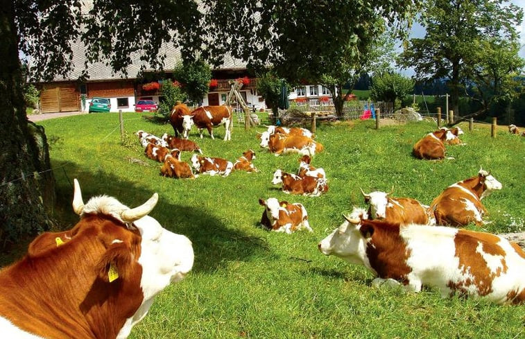 Natuurhuisje in Hinterzarten