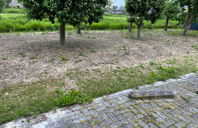 Natuurhuisje in Harlingen