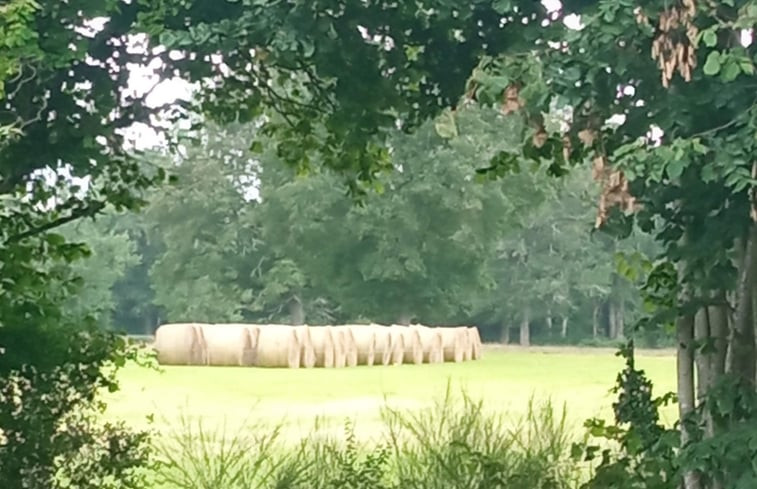 Natuurhuisje in Parsac-Rimondeix