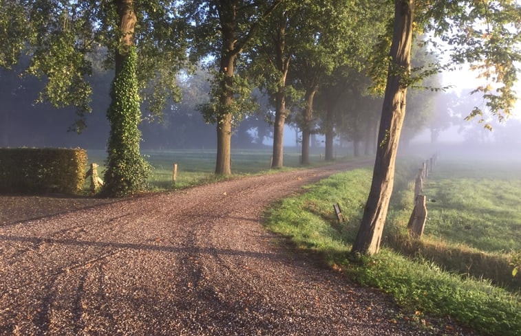 Natuurhuisje in breklenkamp