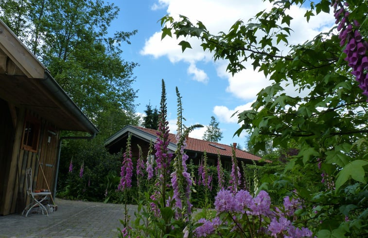 Natuurhuisje in Olterterp