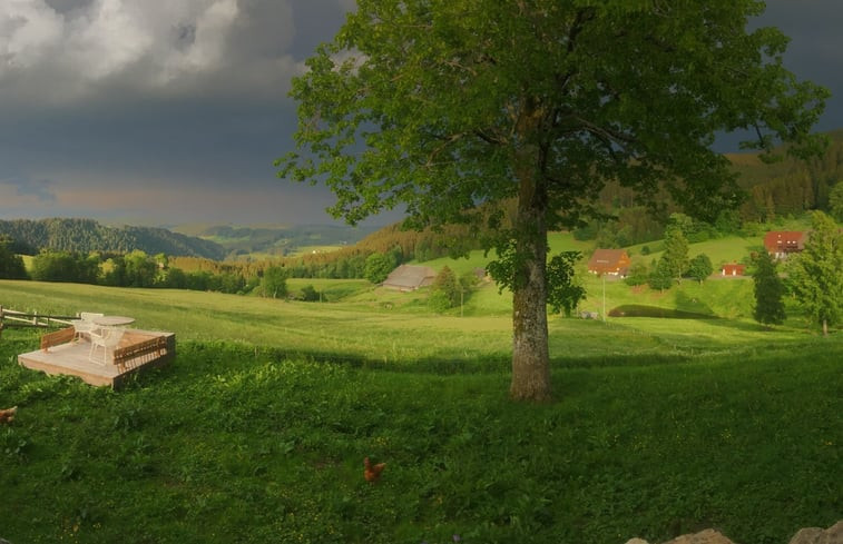 Natuurhuisje in Hinterzarten