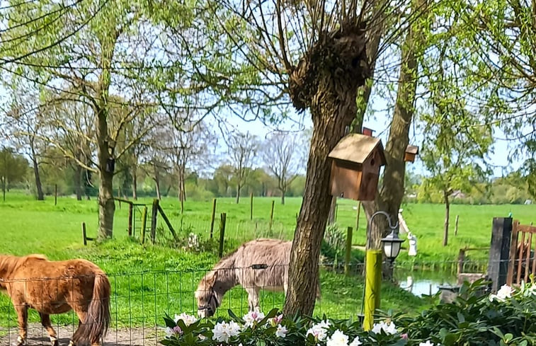 Natuurhuisje in de Lutte