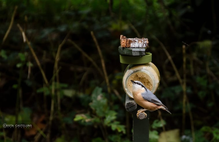 Natuurhuisje in Otterlo