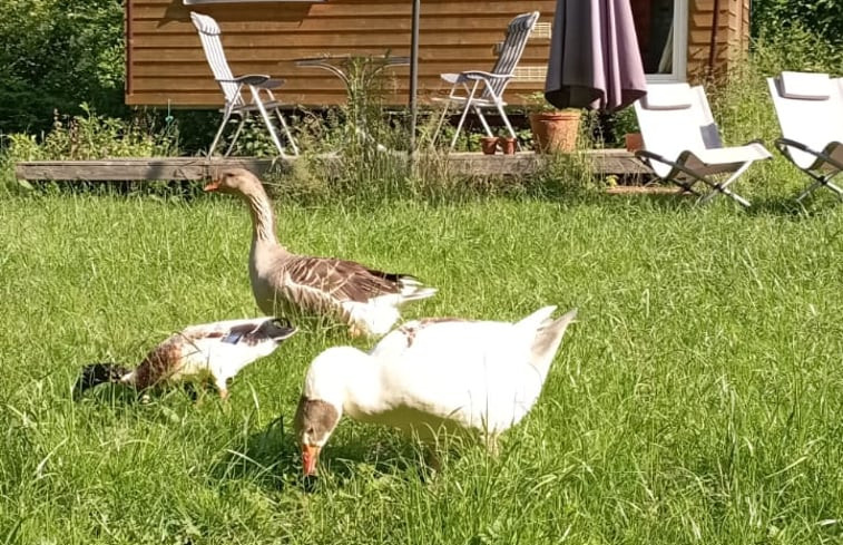 Natuurhuisje in Mörsdorf