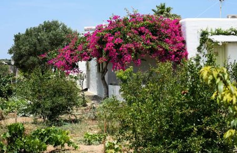 Natuurhuisje in Tsoukalia