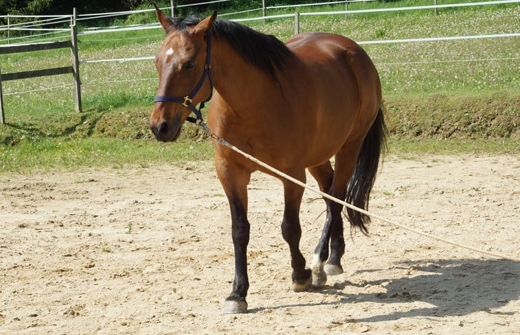 Natuurhuisje in Feldbach