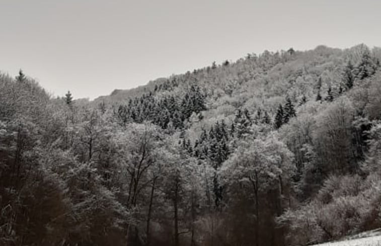 Natuurhuisje in La roche-en-ardenne