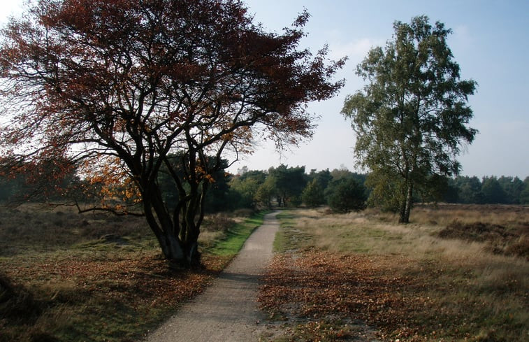 Natuurhuisje in Holten