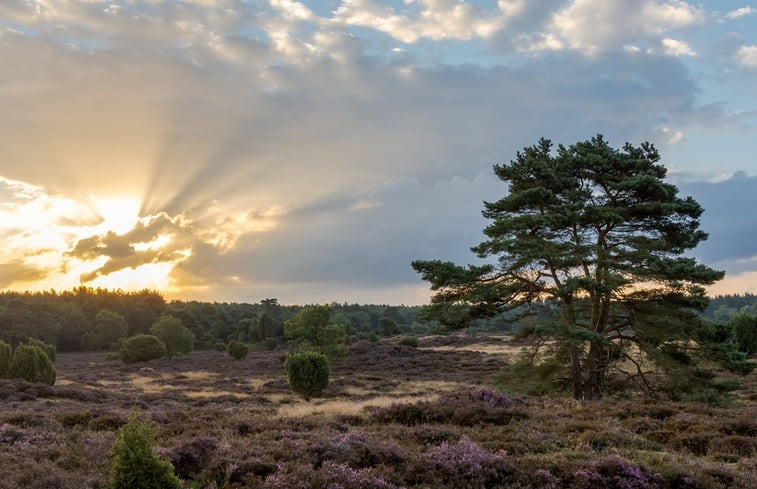 Natuurhuisje in Gasselte