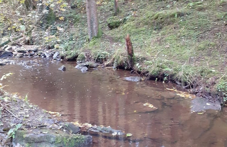 Natuurhuisje in La roche-en-ardenne