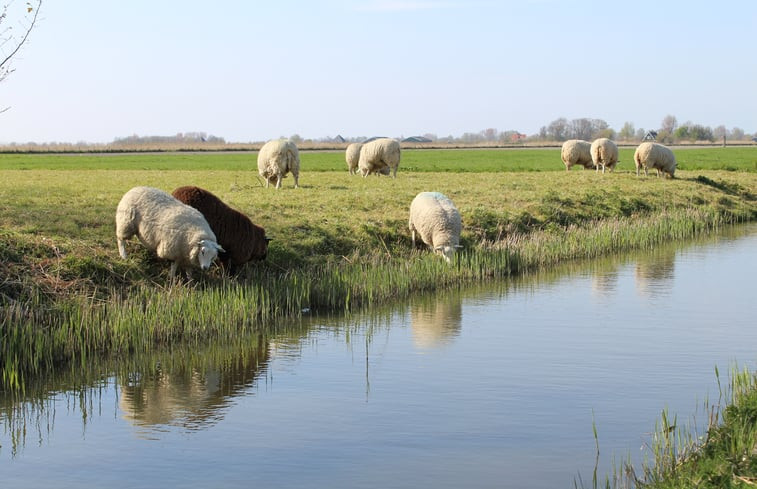 Natuurhuisje in Schagen