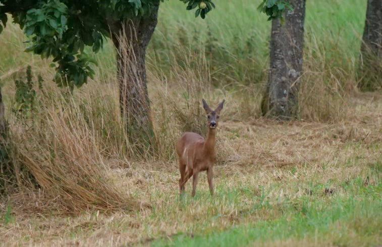 Natuurhuisje in Sosberg