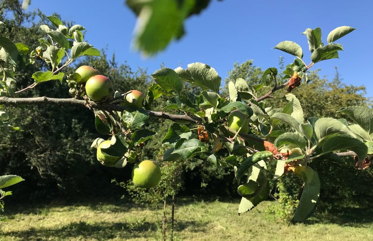 Natuurhuisje in Lapeyrouse