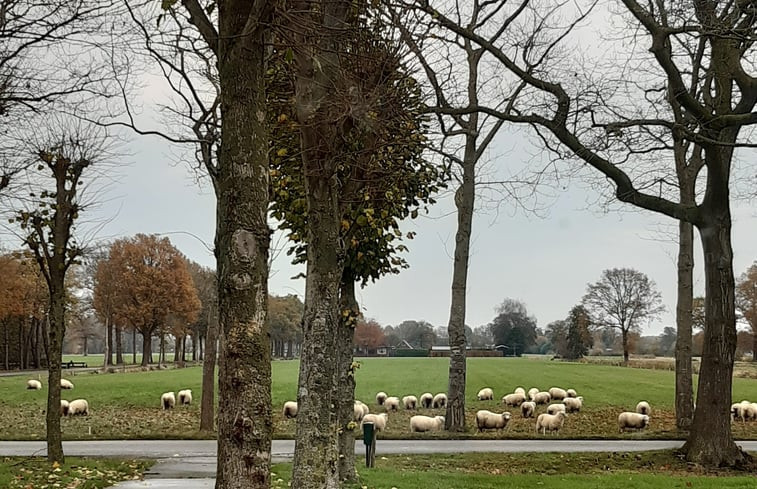 Natuurhuisje in Koekange