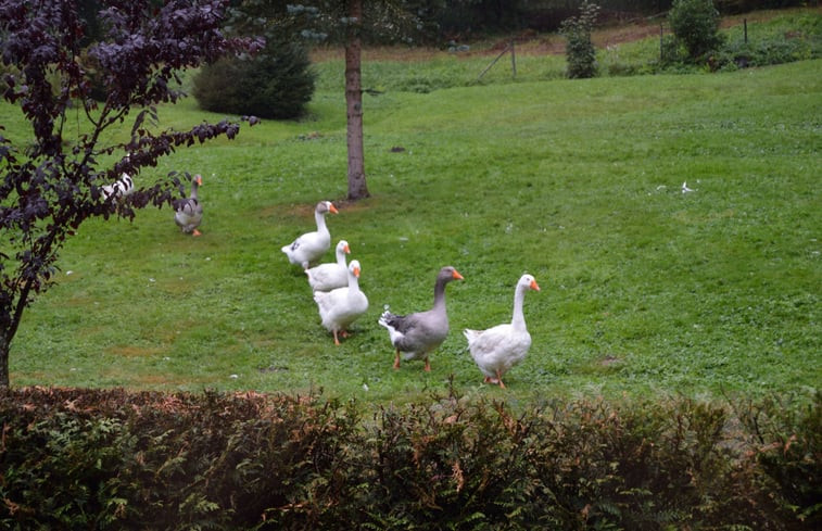 Natuurhuisje in KRUTH