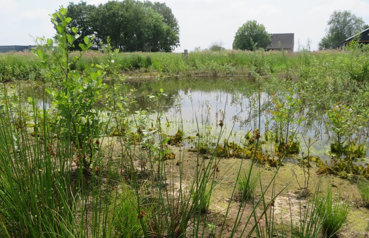 Natuurhuisje in Biest-Houtakker