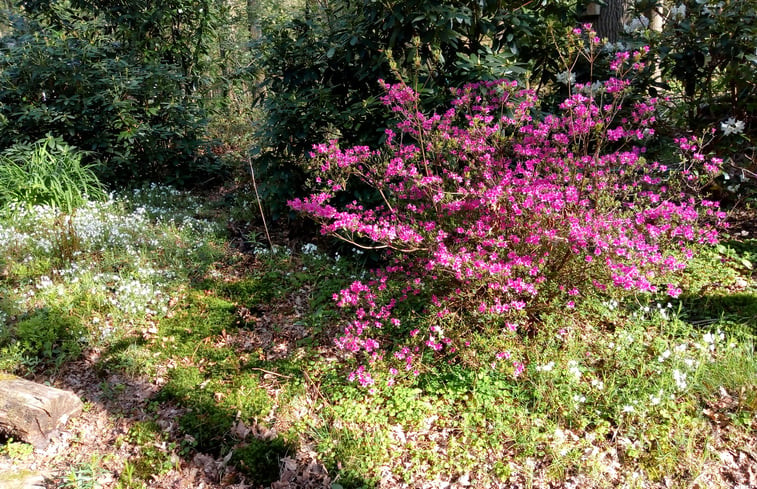 Natuurhuisje in Norg