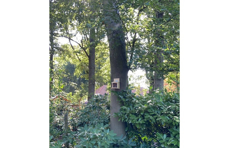 Natuurhuisje in Ermelo