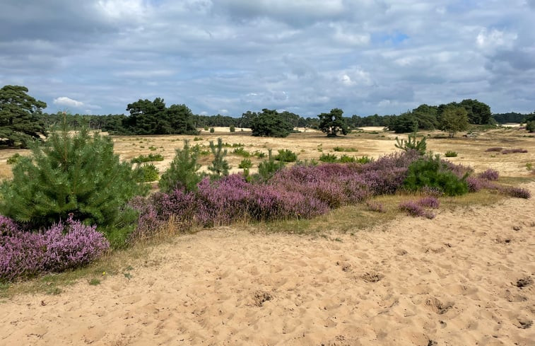 Natuurhuisje in Lunteren