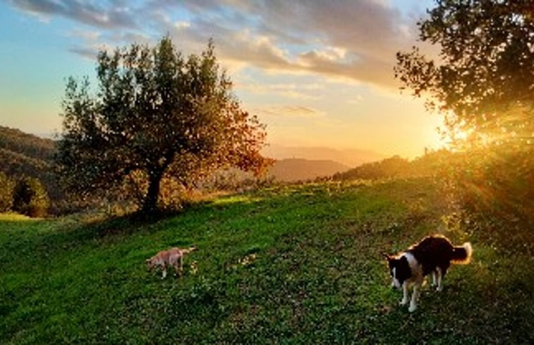 Natuurhuisje in Tatti (Massa Marittima)