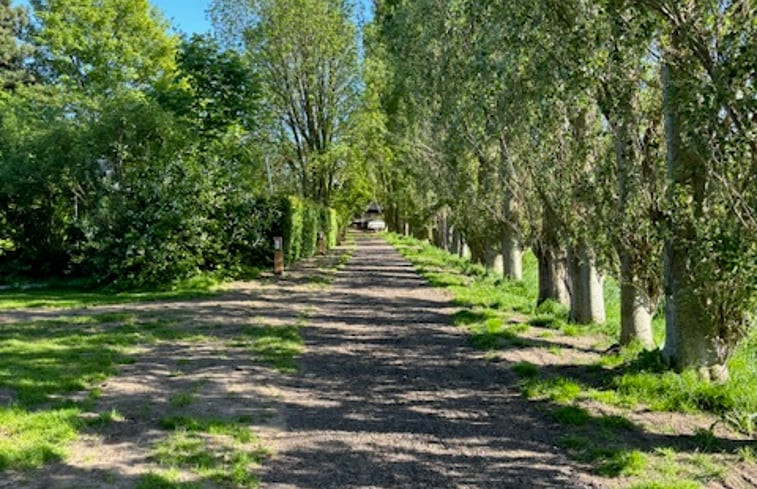 Natuurhuisje in Blesdijke