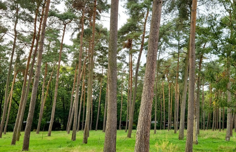 Natuurhuisje in Lanaken