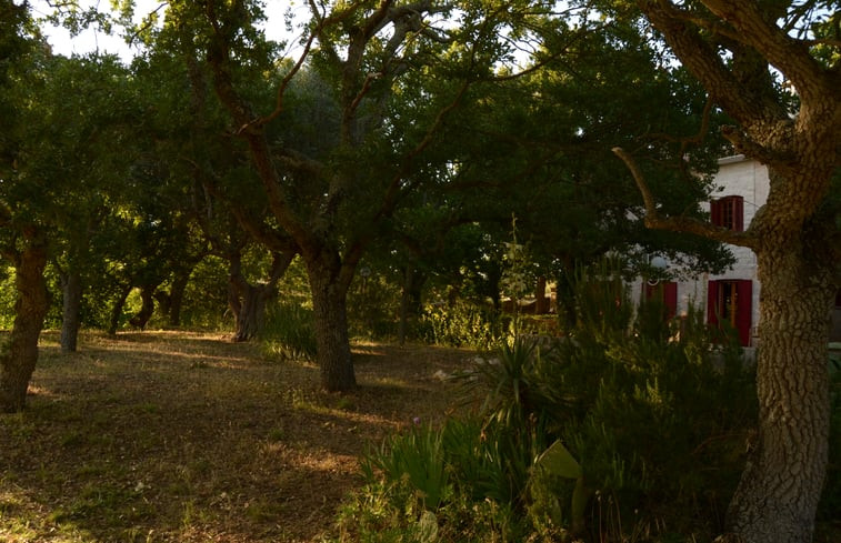 Natuurhuisje in Locorotondo