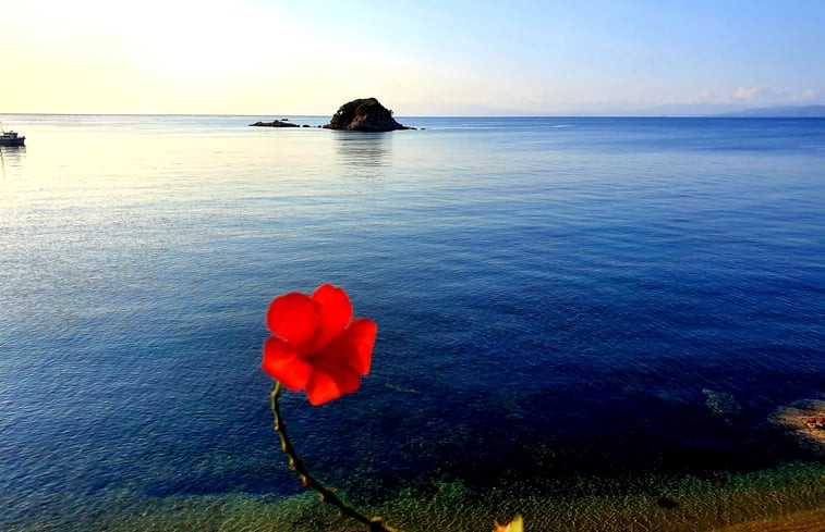 Natuurhuisje in SKIATHOS TROULOS