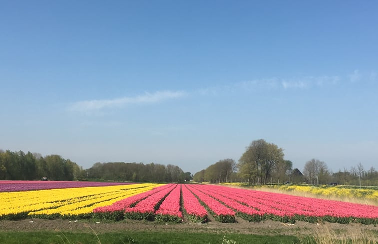 Natuurhuisje in Beets